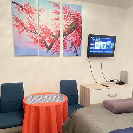 Top Studio Full Optional Saint Louis Vicino Stazione Saint Louis 68300 France المظهر الخارجي الصورة