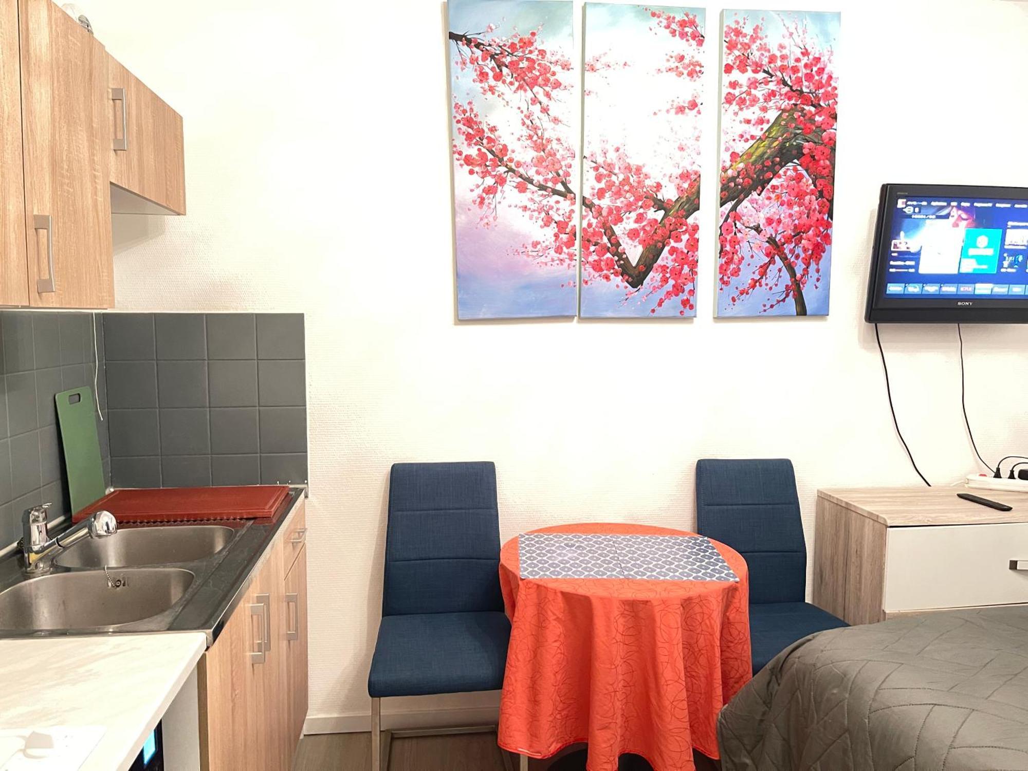 Top Studio Full Optional Saint Louis Vicino Stazione Saint Louis 68300 France المظهر الخارجي الصورة