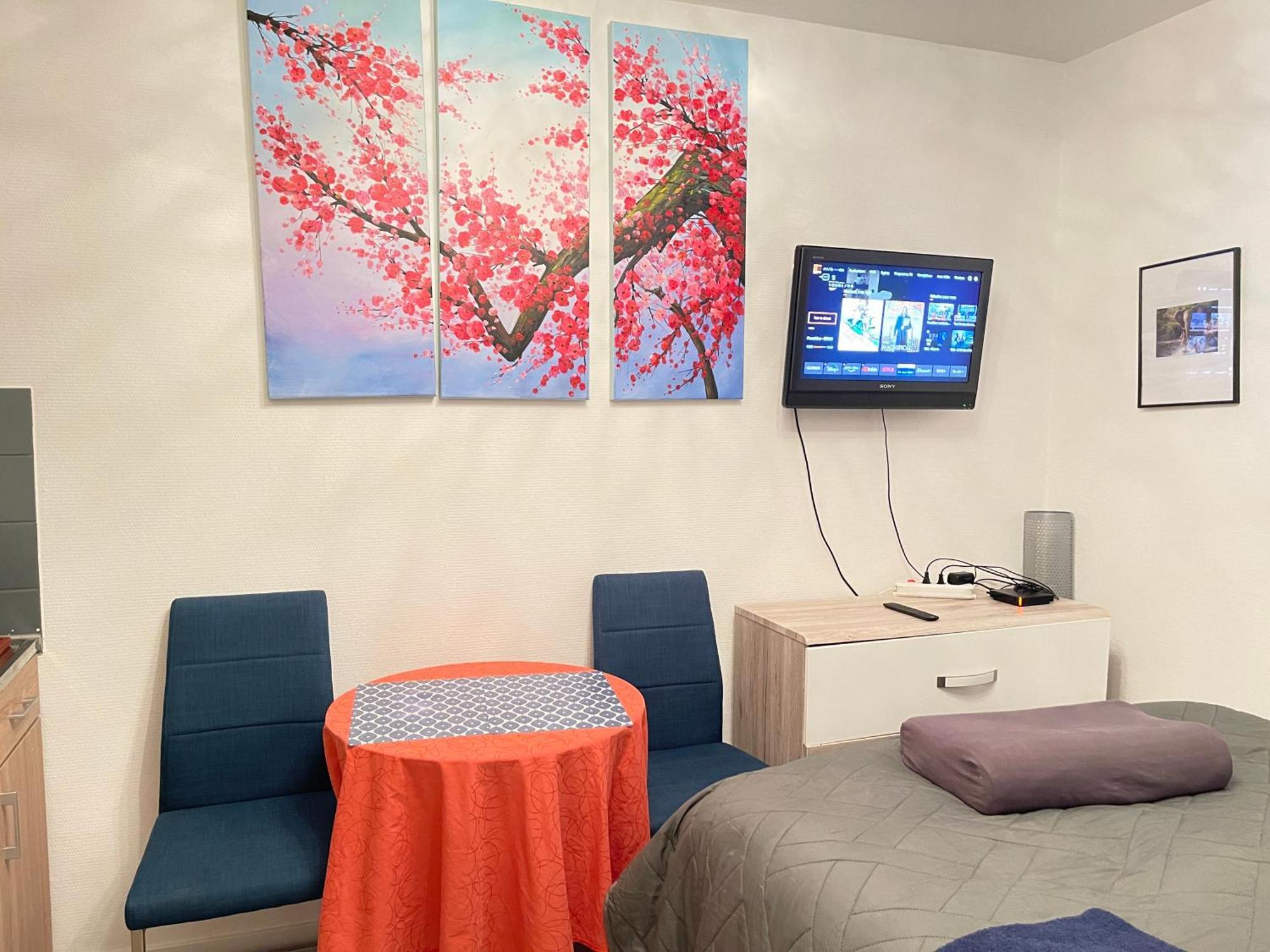 Top Studio Full Optional Saint Louis Vicino Stazione Saint Louis 68300 France المظهر الخارجي الصورة