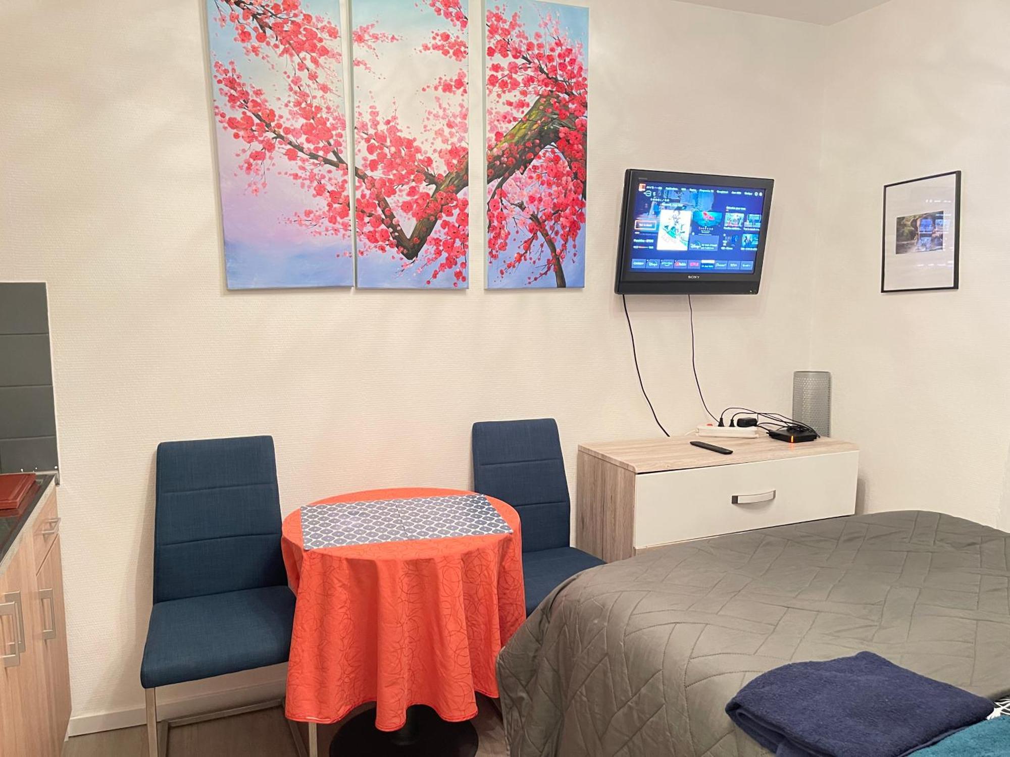 Top Studio Full Optional Saint Louis Vicino Stazione Saint Louis 68300 France المظهر الخارجي الصورة